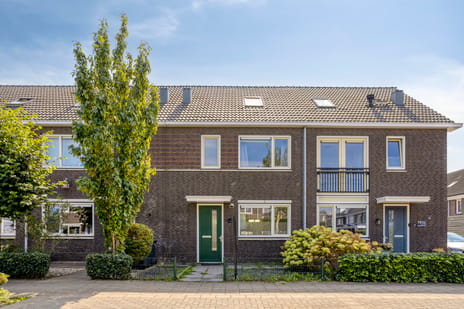 Bont Dikkopje thumbnail