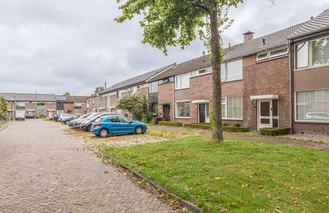 Meerstraat thumbnail