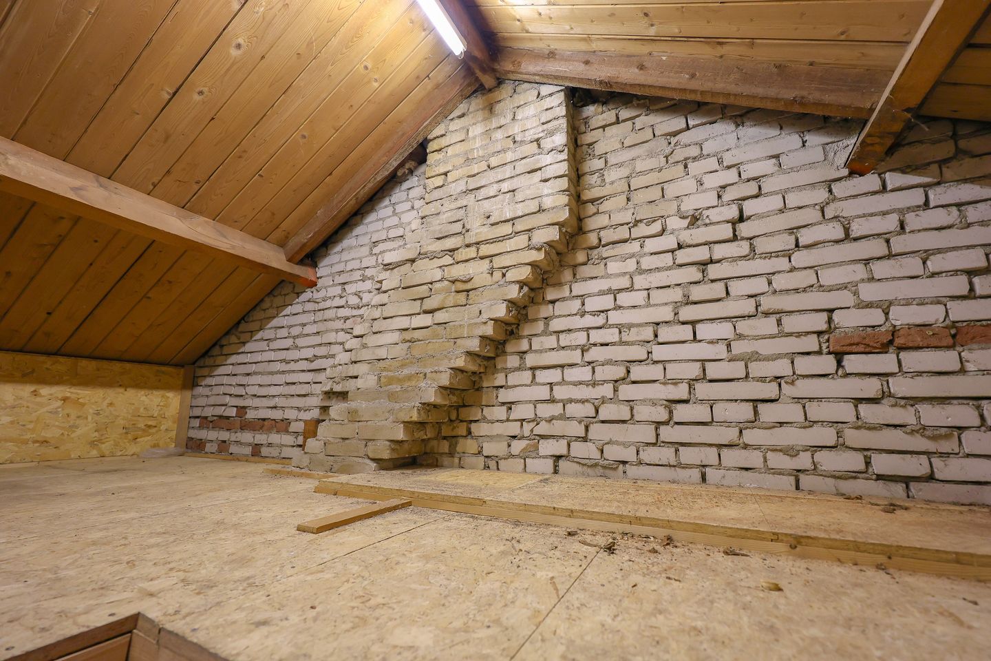 Foto 44 van C. Evertsenstraat 29