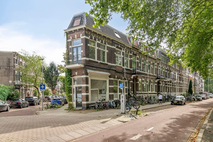 Foto 3 van Alexander Numankade 27