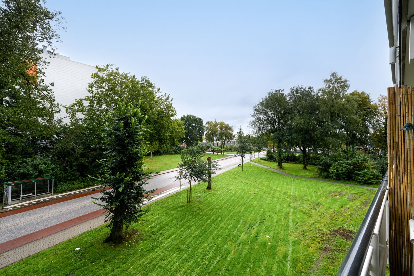Foto 25 van Buizerd 25