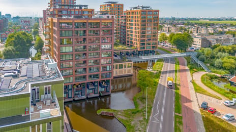 Mahoniehout thumbnail