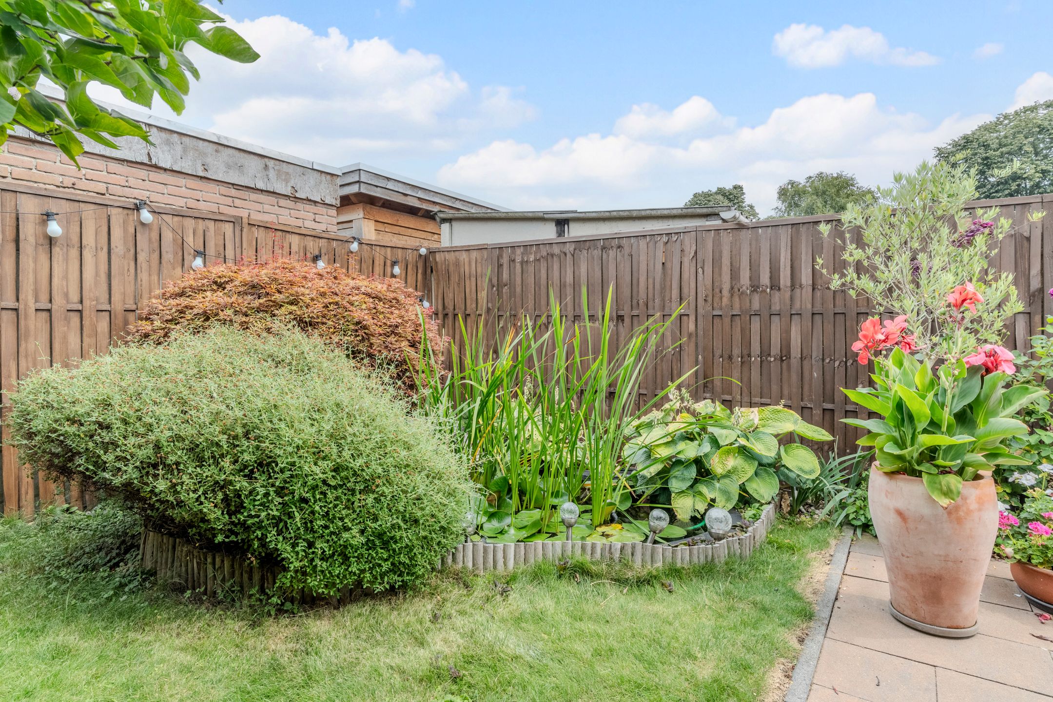 Foto 30 van Olmenstraat 25