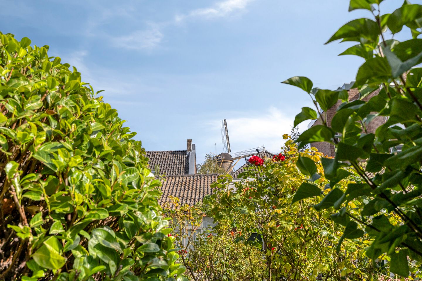 Photo 20 of Paviljoenshof 7