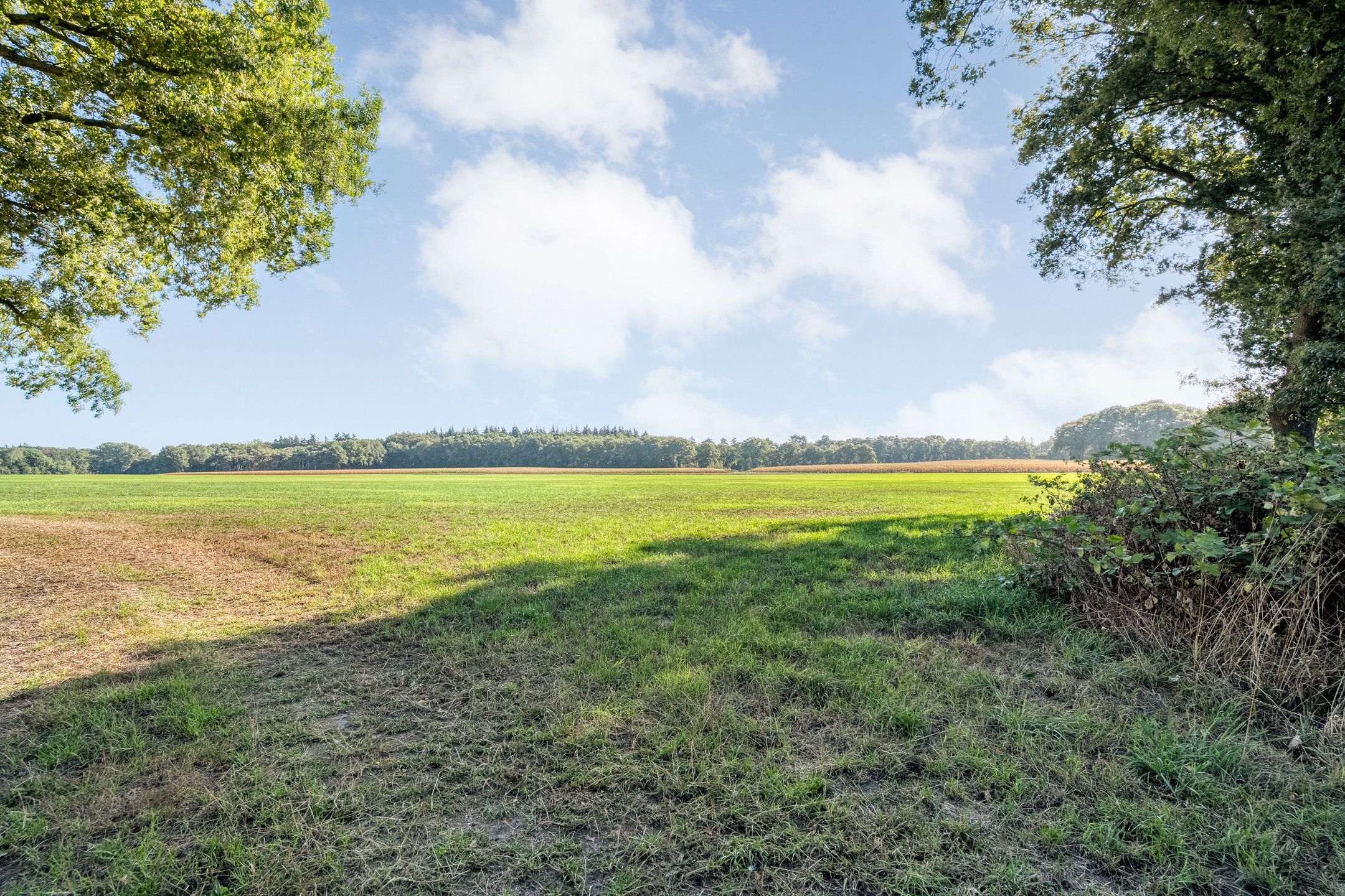Photo 102 of Bergweg 15