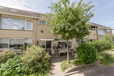 Ranonkelstraat thumbnail