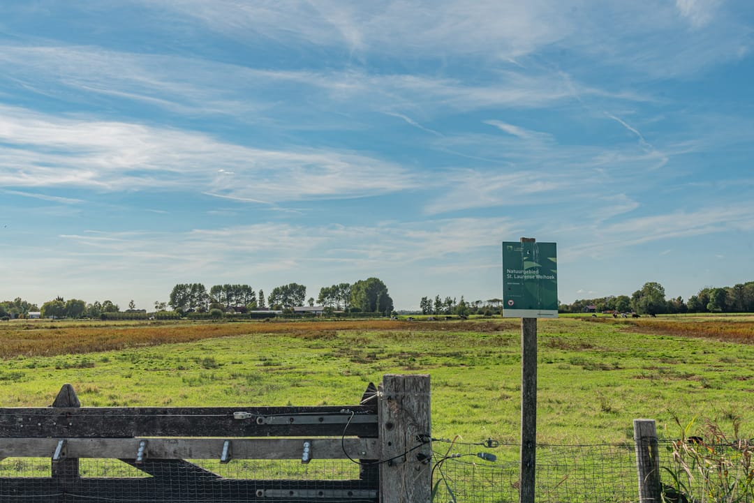 Photo 77 of Walcherseweg 256-B