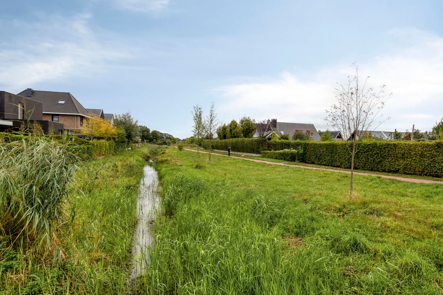 Photo 35 of Rozenbottel 6