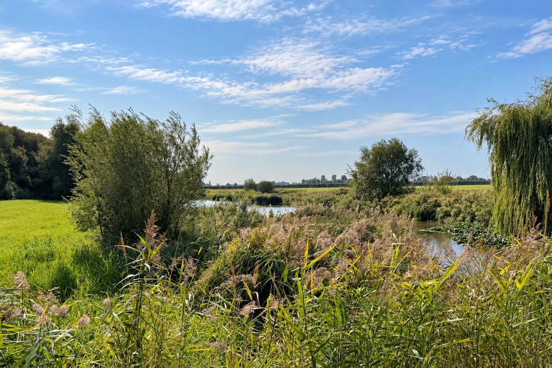 Foto 43 van Zuidlangeweg 6-B