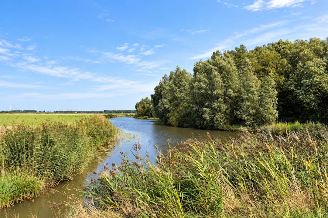 Foto 41 van Zuidlangeweg 6-B