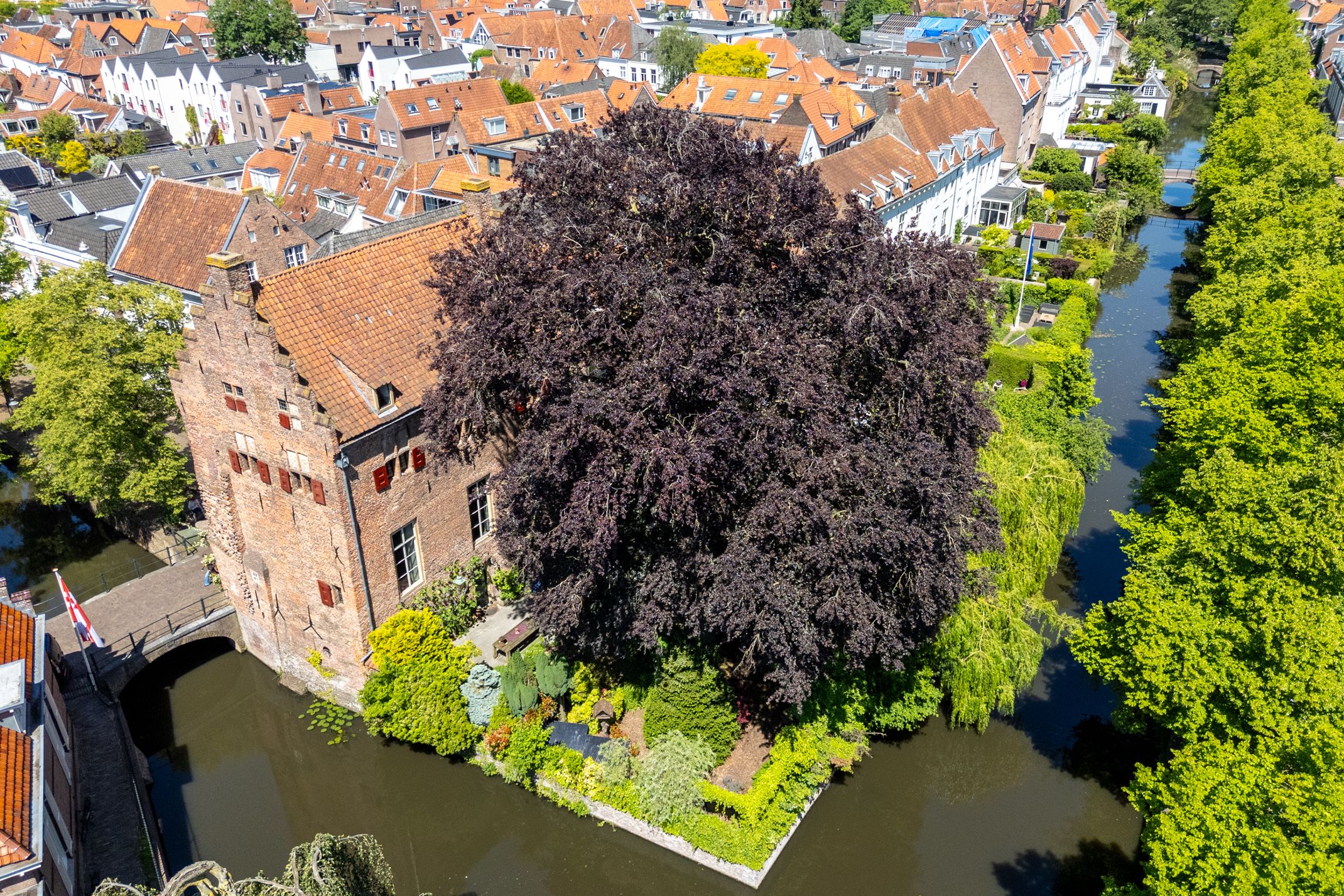 Photo 33 of Muurhuizen 25