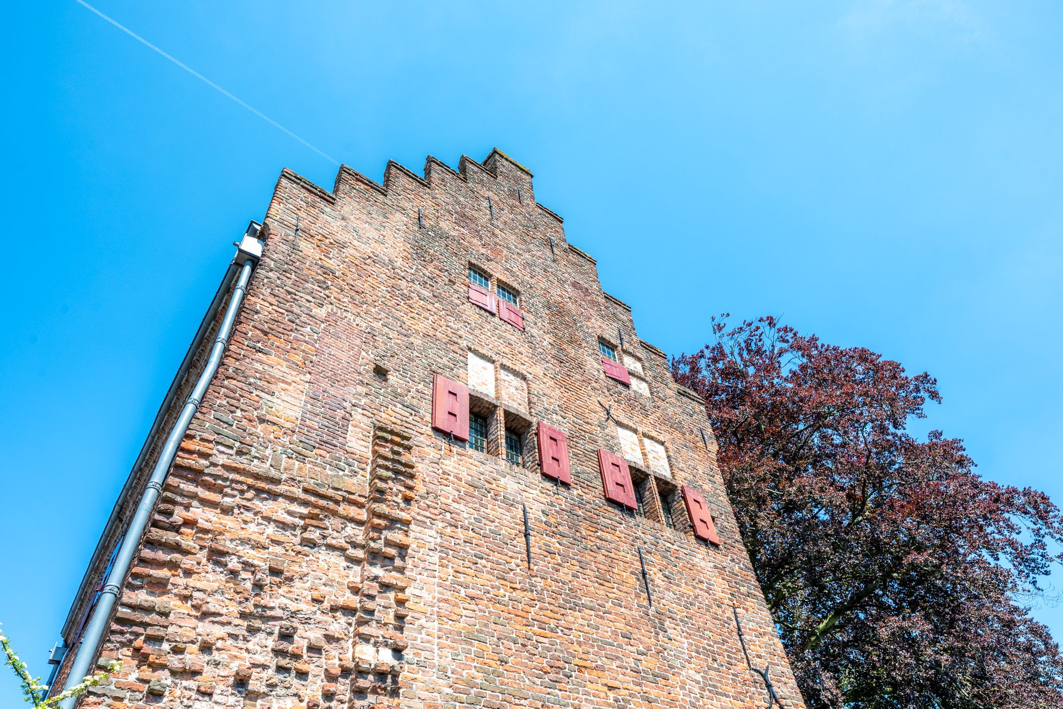 Photo 21 of Muurhuizen 25