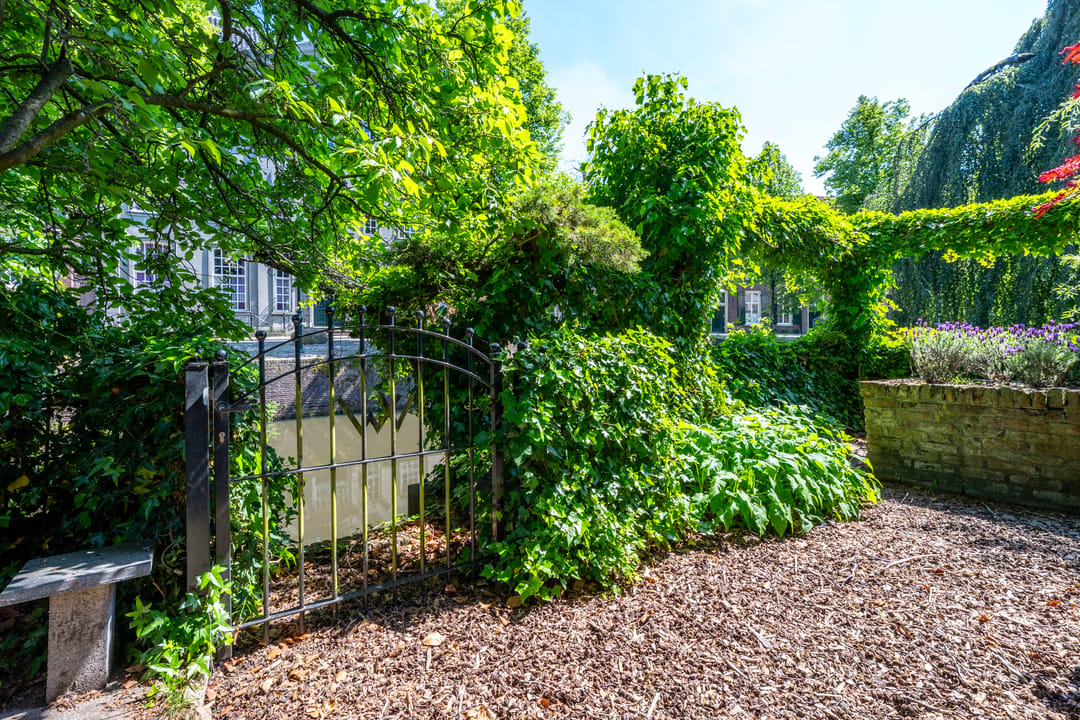 Photo 28 of Muurhuizen 25