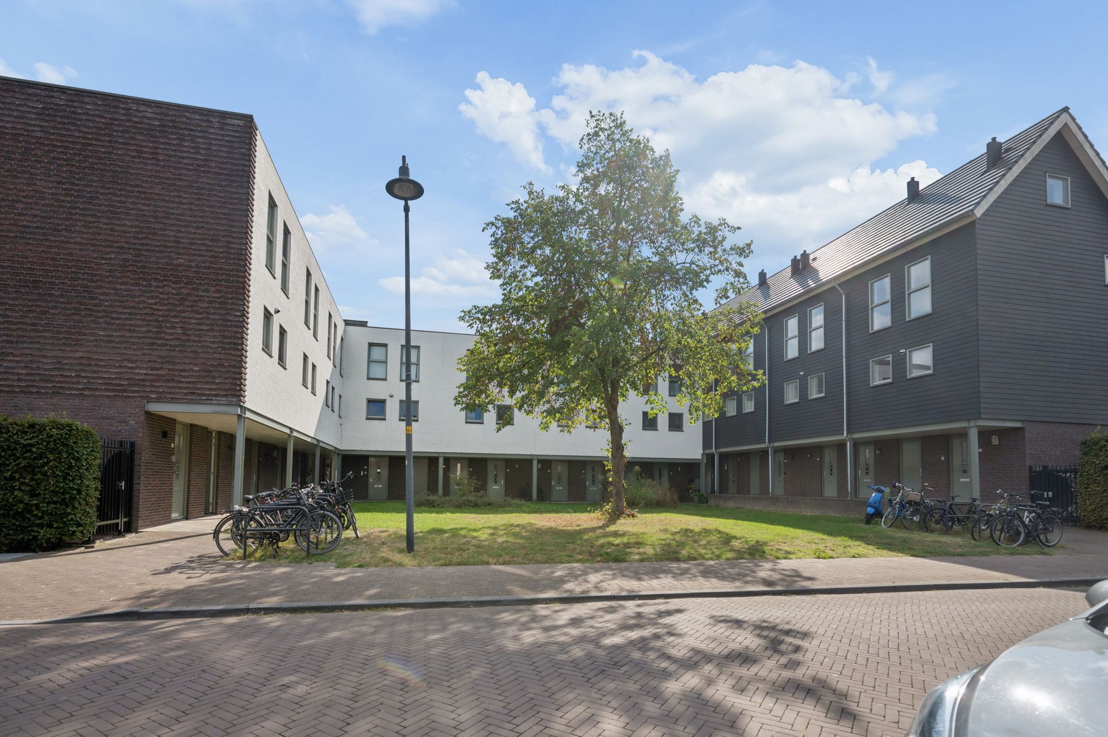 Zijdevlinder 126 