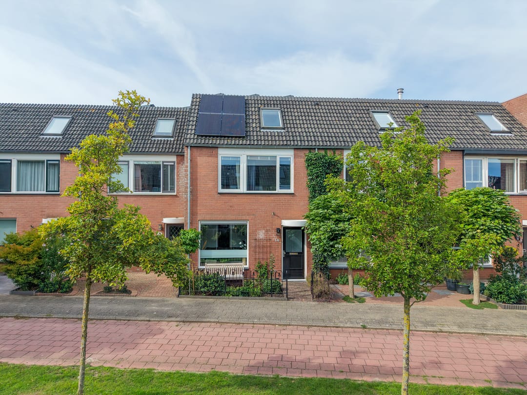Foto 1 van Paardebloem 14