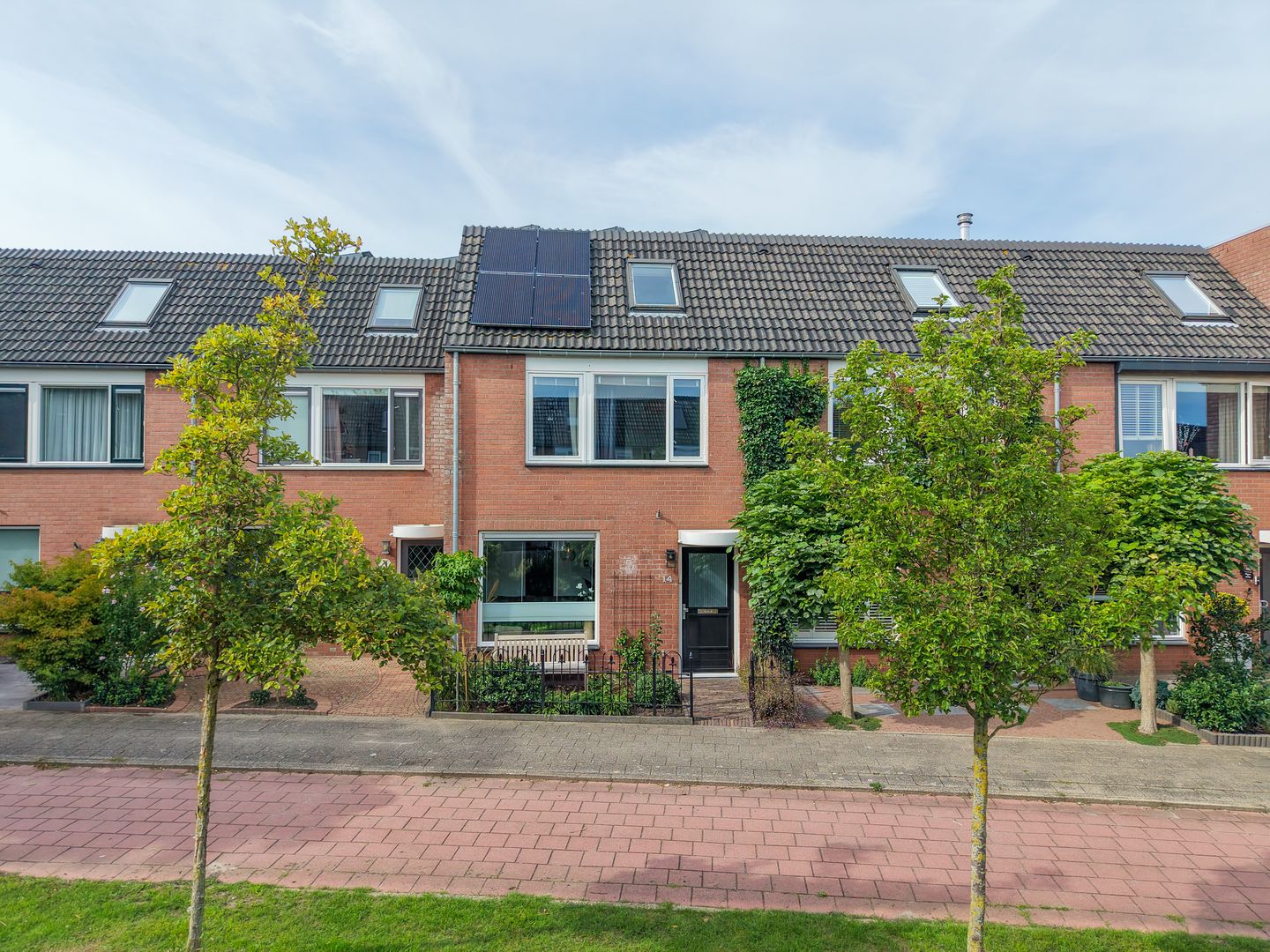Foto 1 van Paardebloem 14