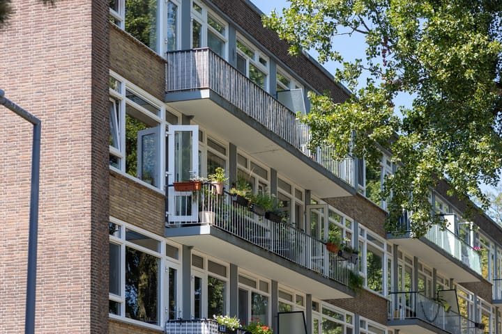 Foto 4 van Paltroklaan 27