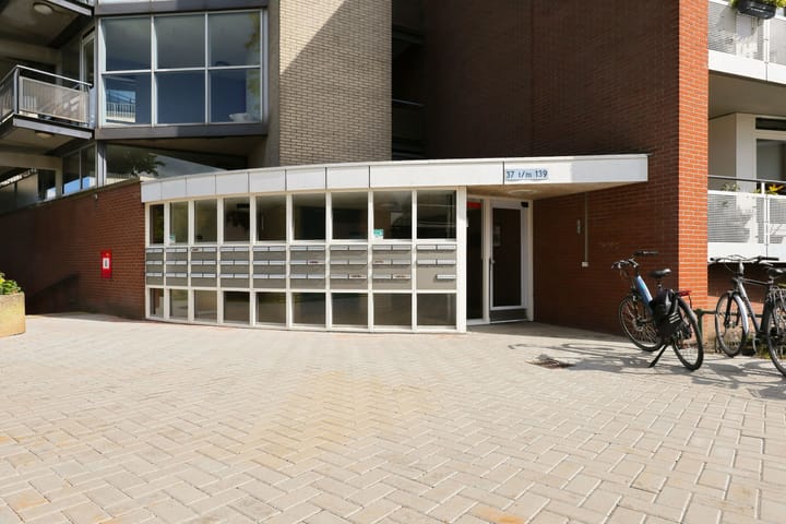 Foto 3 van de Raep 37