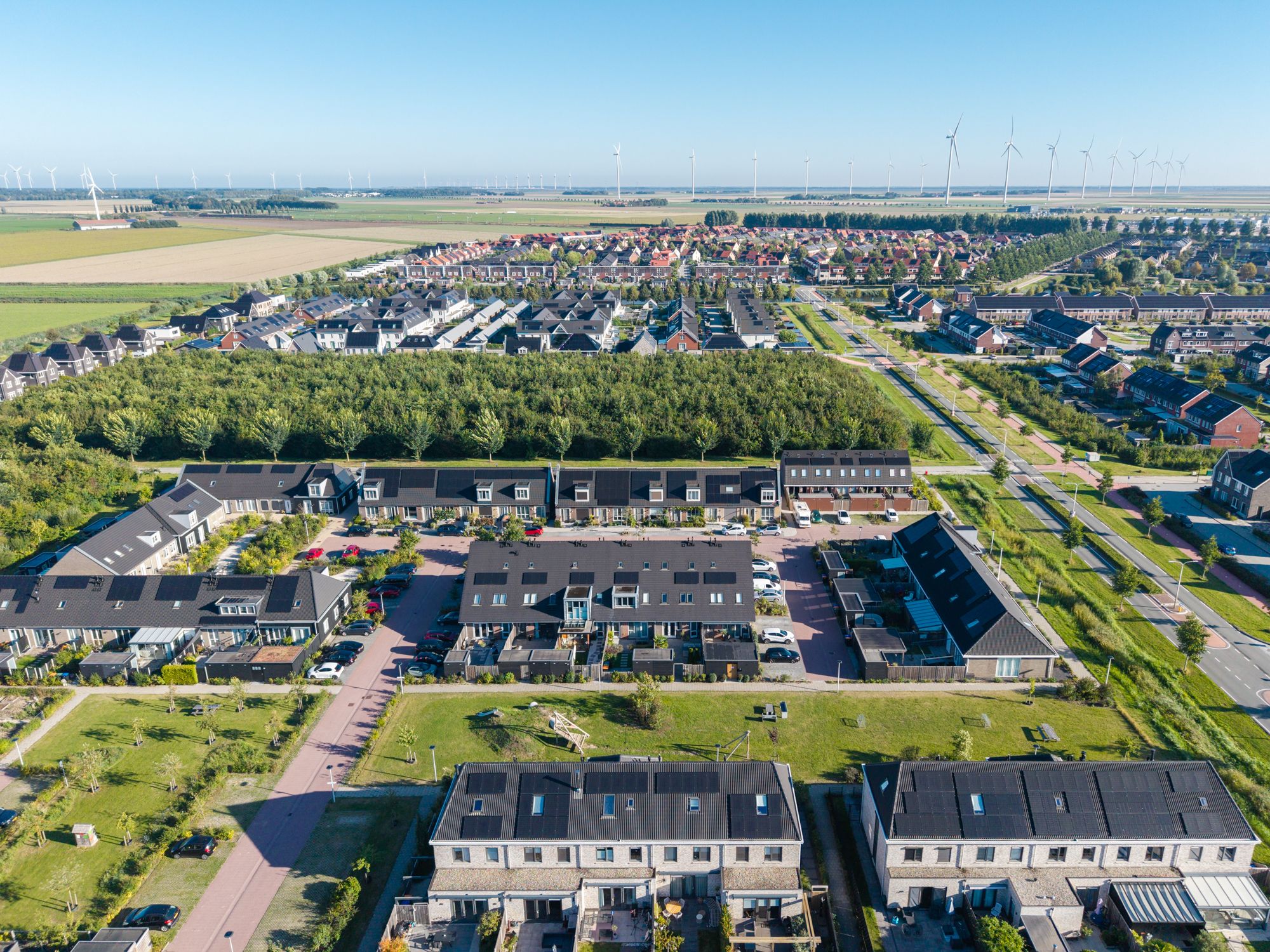 Photo 42 of Het Penseel 56