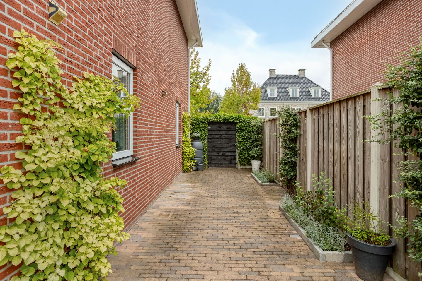 Photo 25 of Niels Bohrhage 2-D