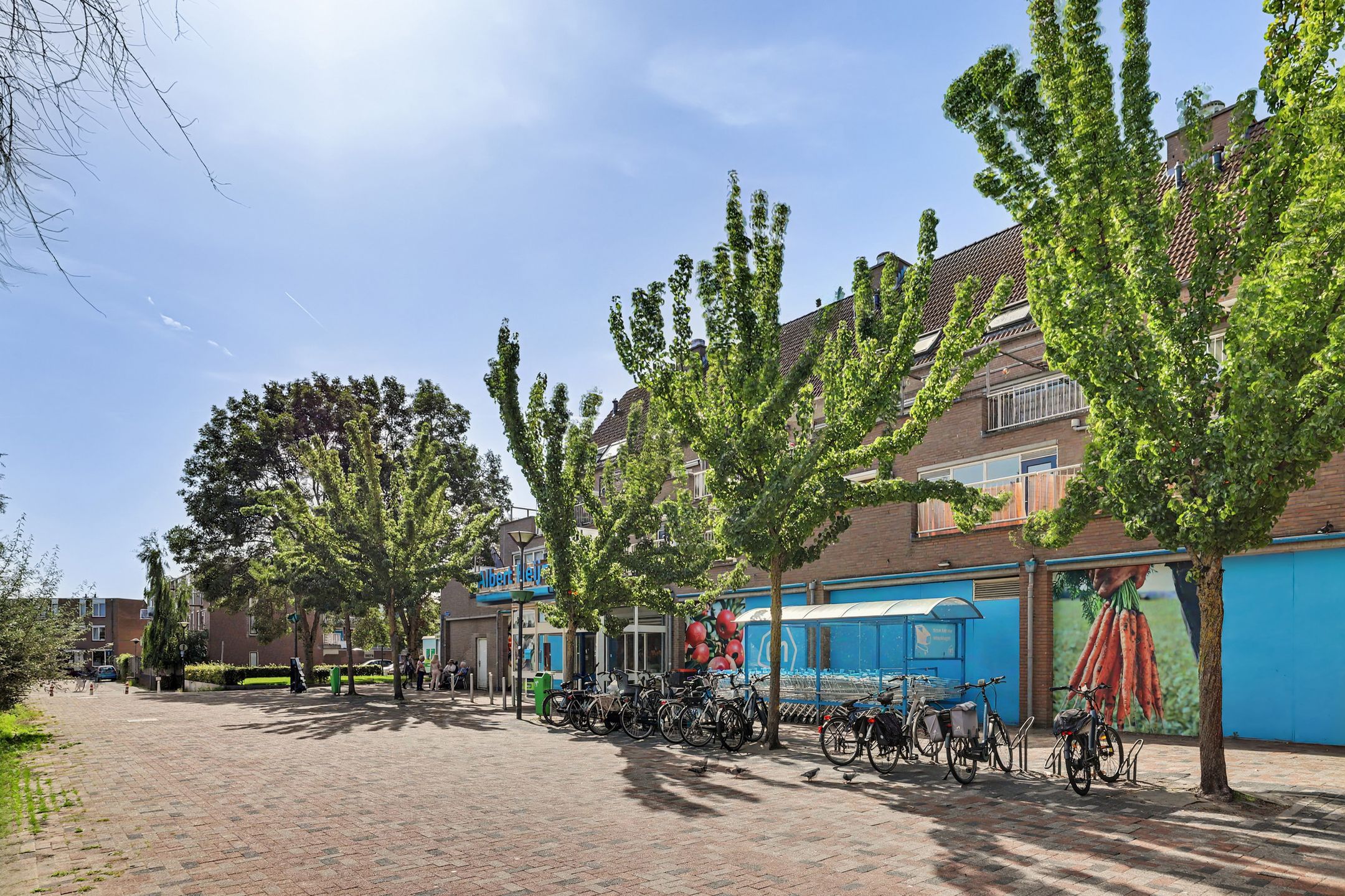 Foto 42 van Horst 38 1