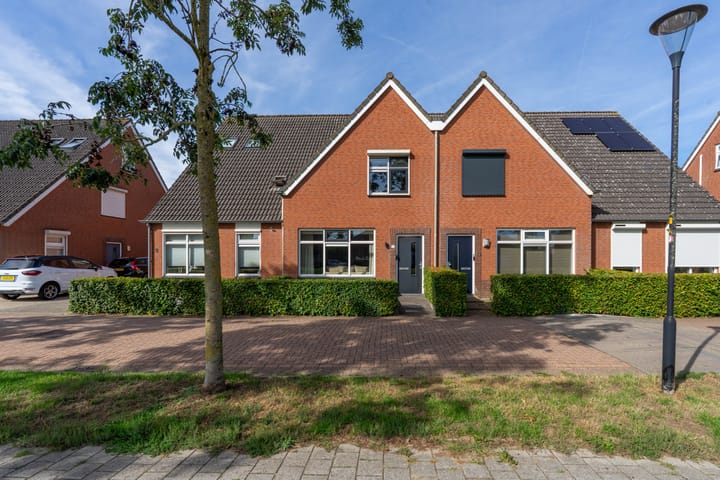 Meander 11