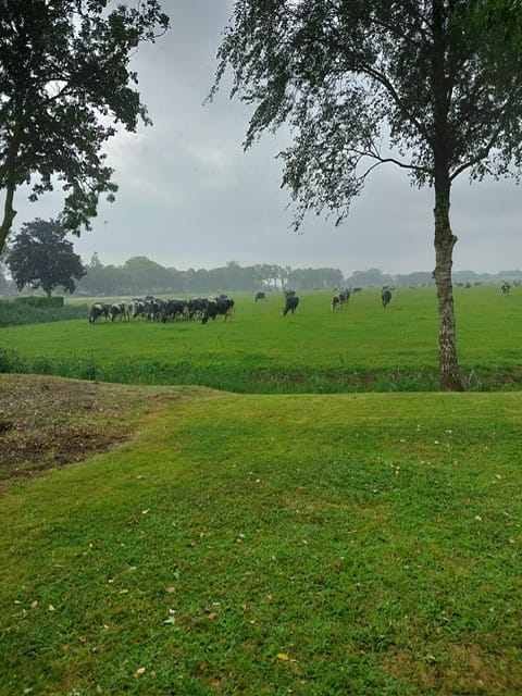 Photo 29 of Burchtweg 12
