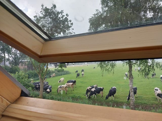 Photo 26 of Burchtweg 12