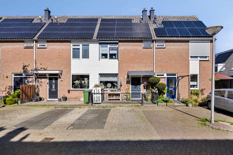 Beelstraat thumbnail