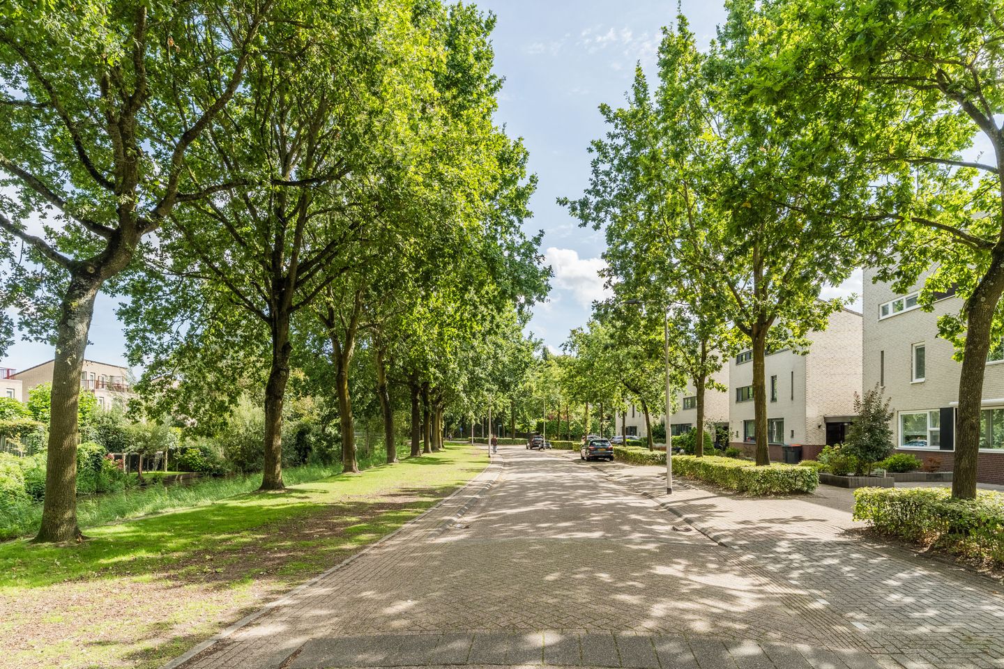 Foto 4 van Noordeloosstraat 31