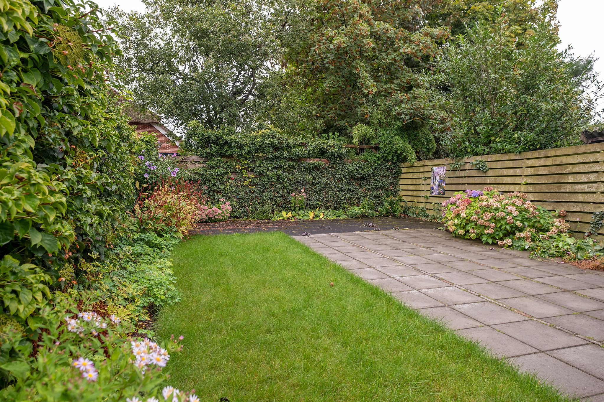 Photo 39 of Boermarke 49