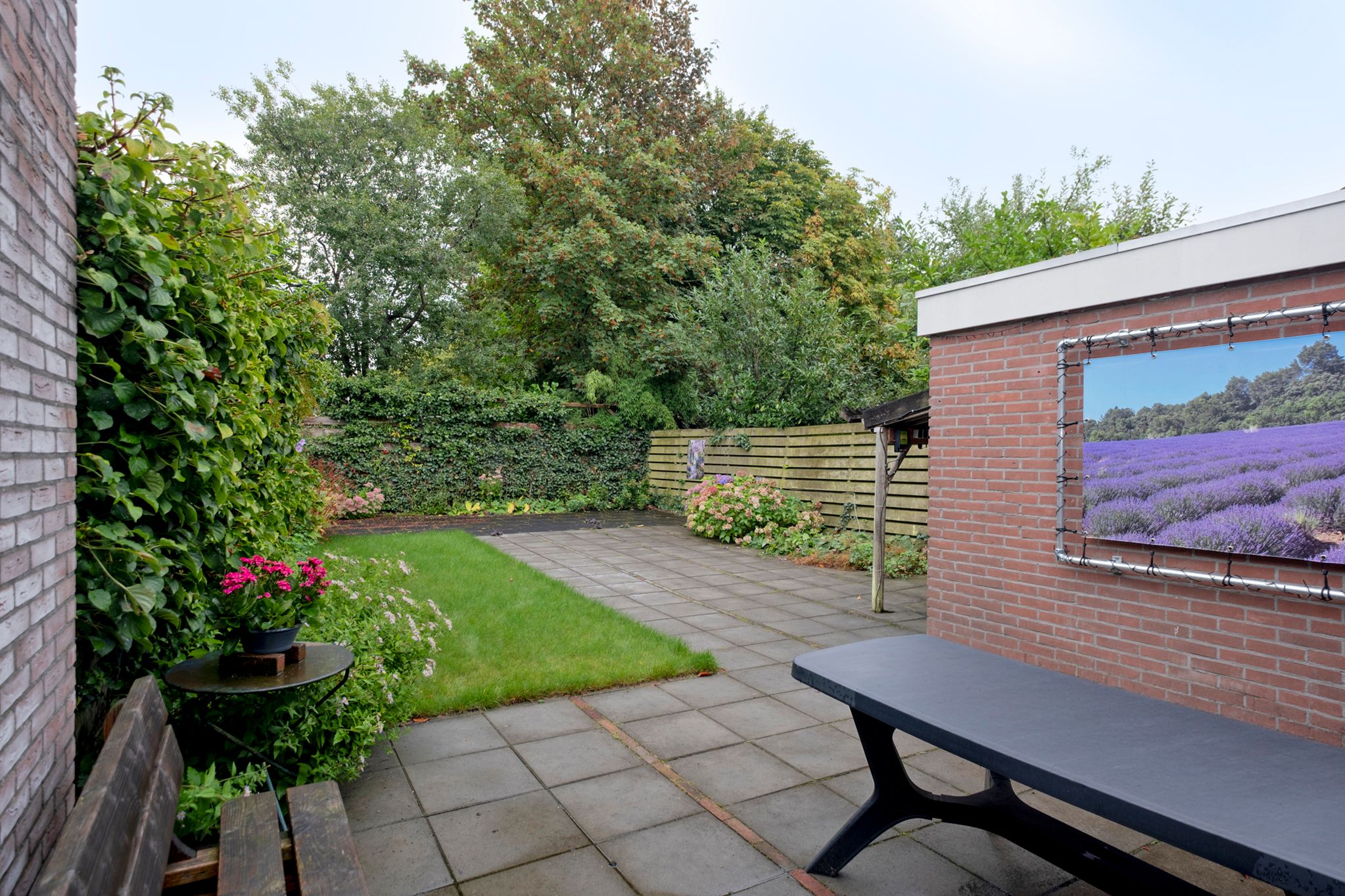 Photo 36 of Boermarke 49