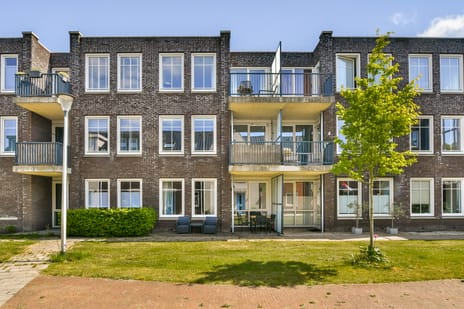 Anne Frankhove thumbnail