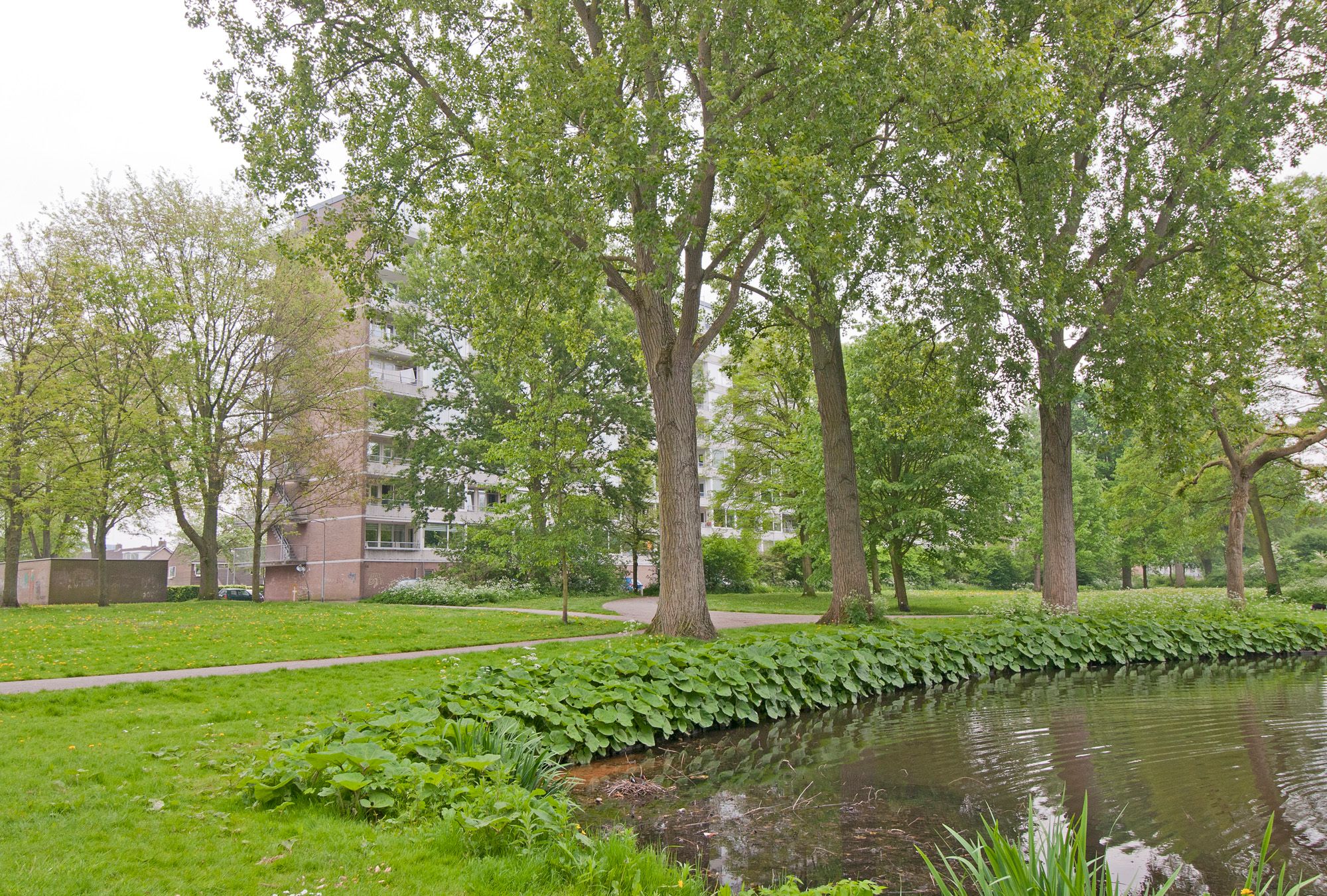 Foto 24 van Engelandlaan 123-F