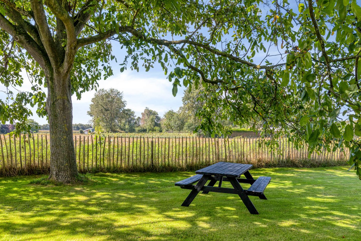 Foto 64 van Haart 7