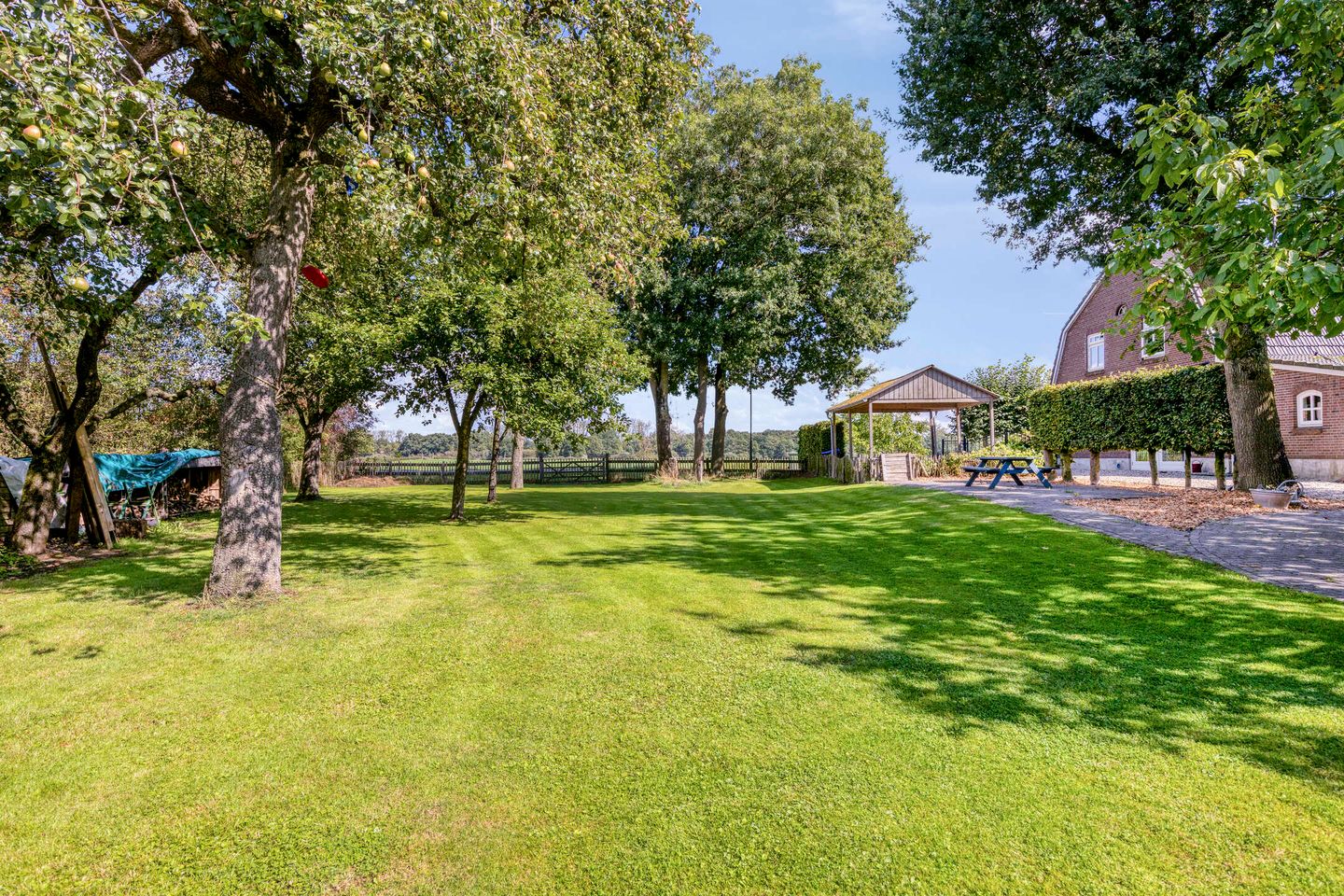 Foto 49 van Haart 7