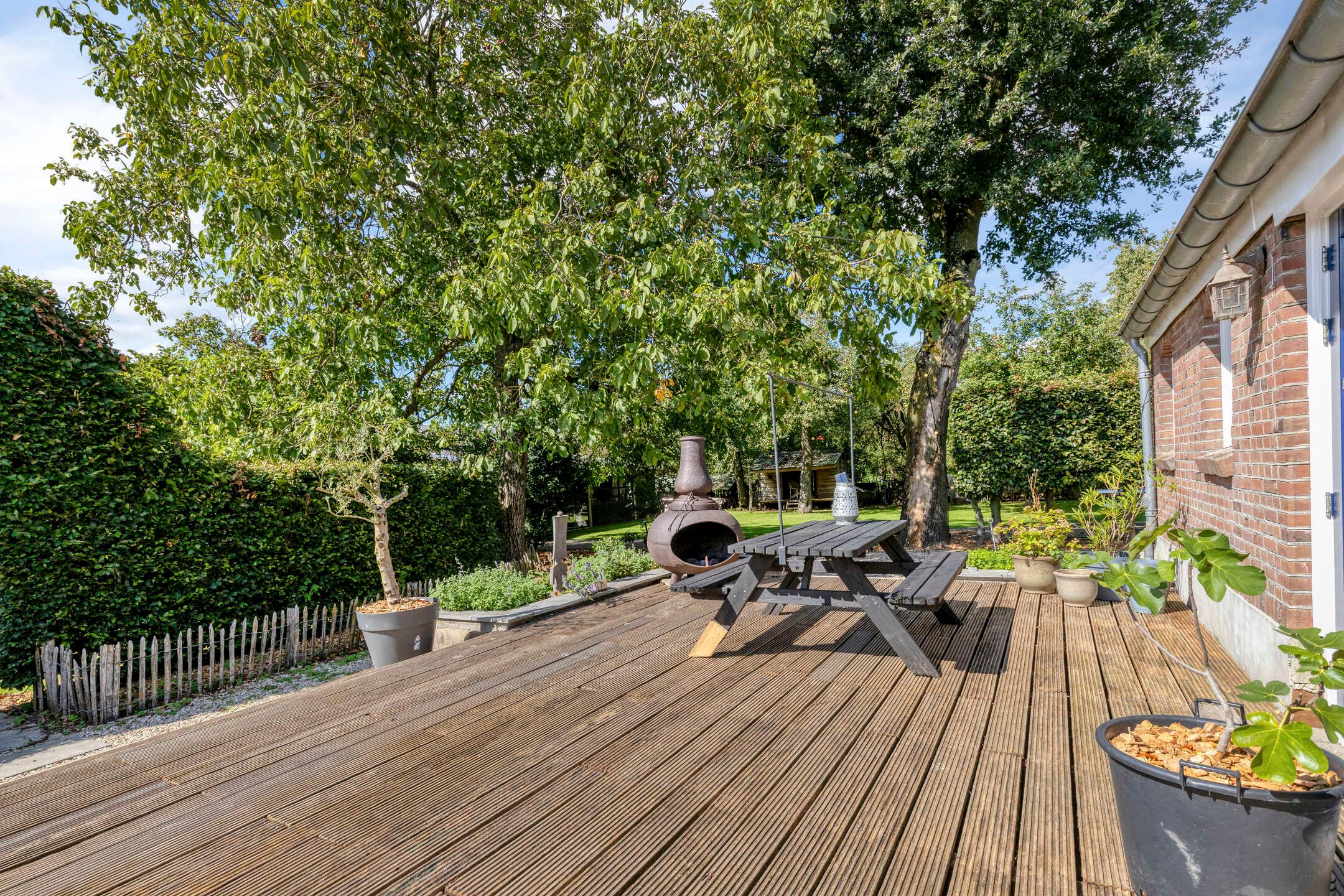 Foto 45 van Haart 7