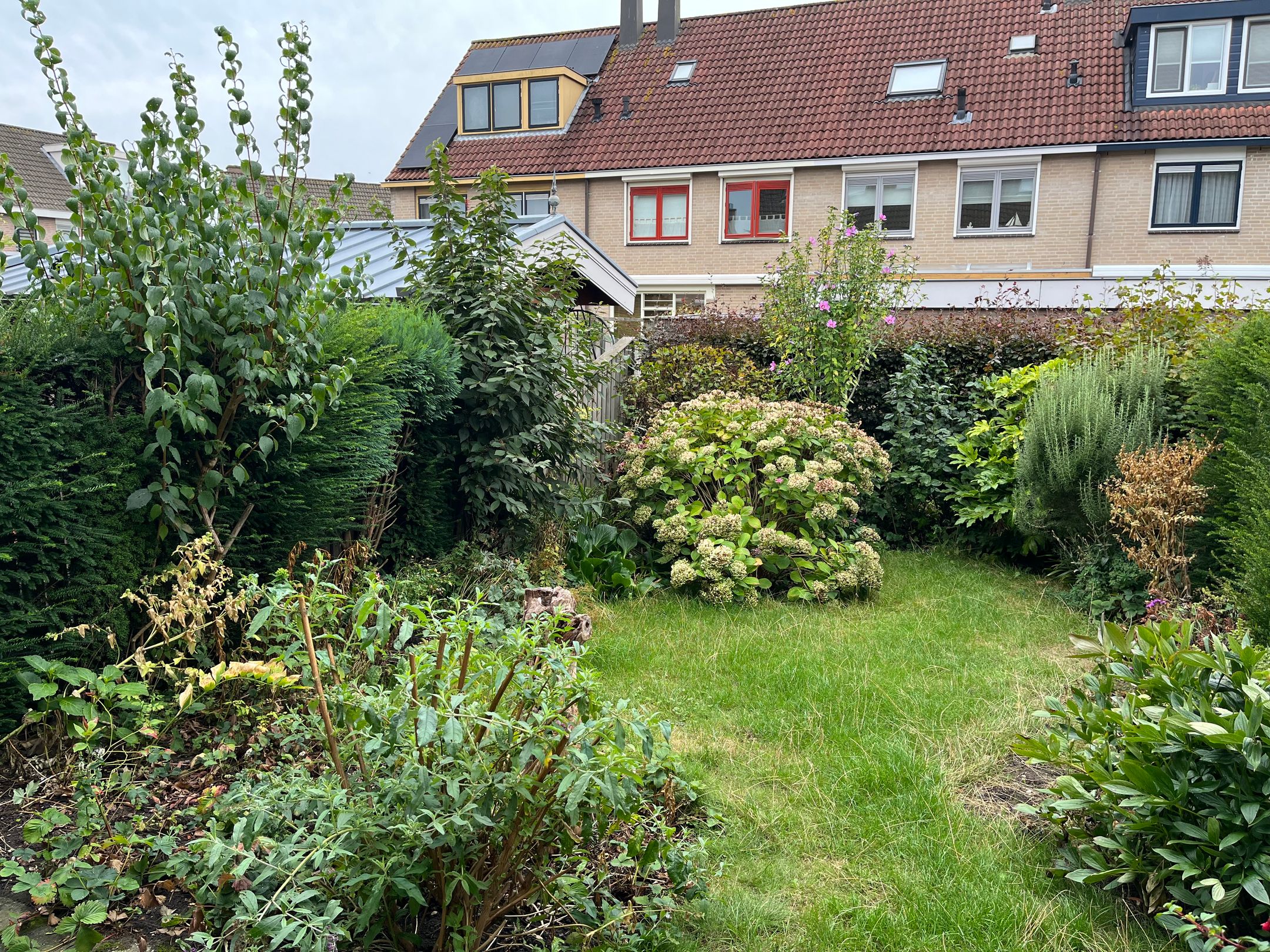 Foto 3 van Voorsteven 7