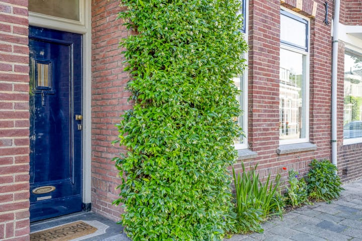 Tussenwoning te koop: Doelenstraat 17, Eindhoven