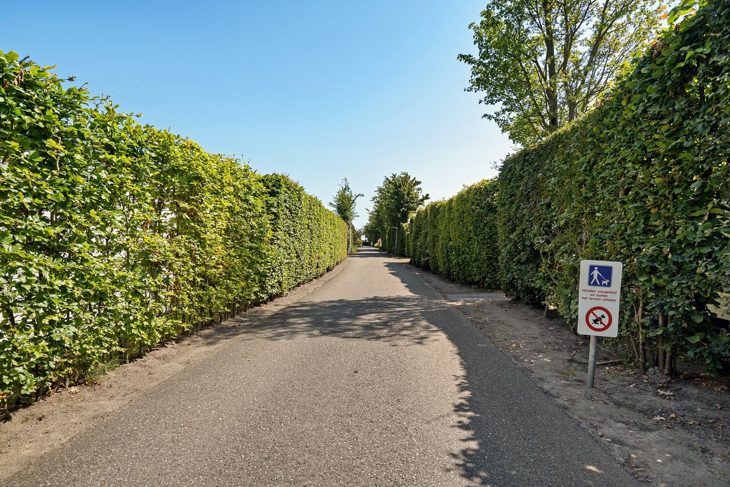 Foto 34 van Veneweg 223-05