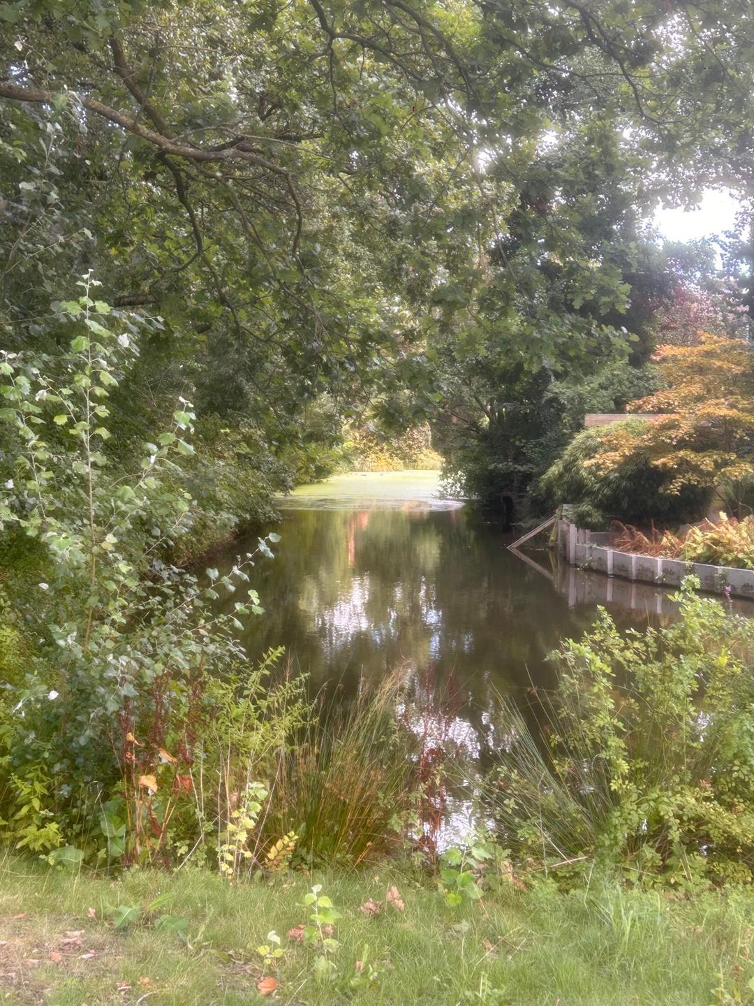 Photo 62 of Groenoord 414