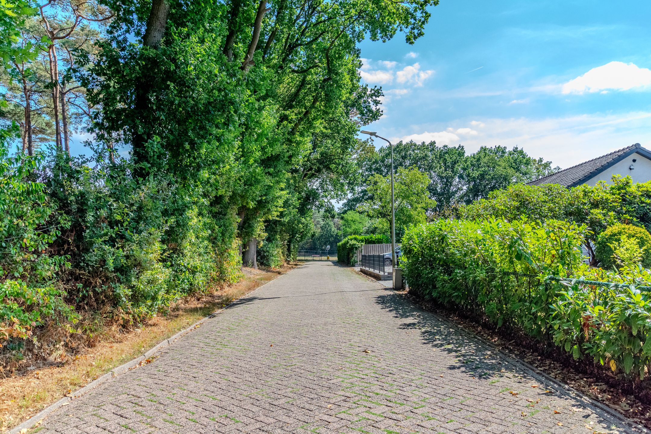 Photo 60 of Anjerstraat 37
