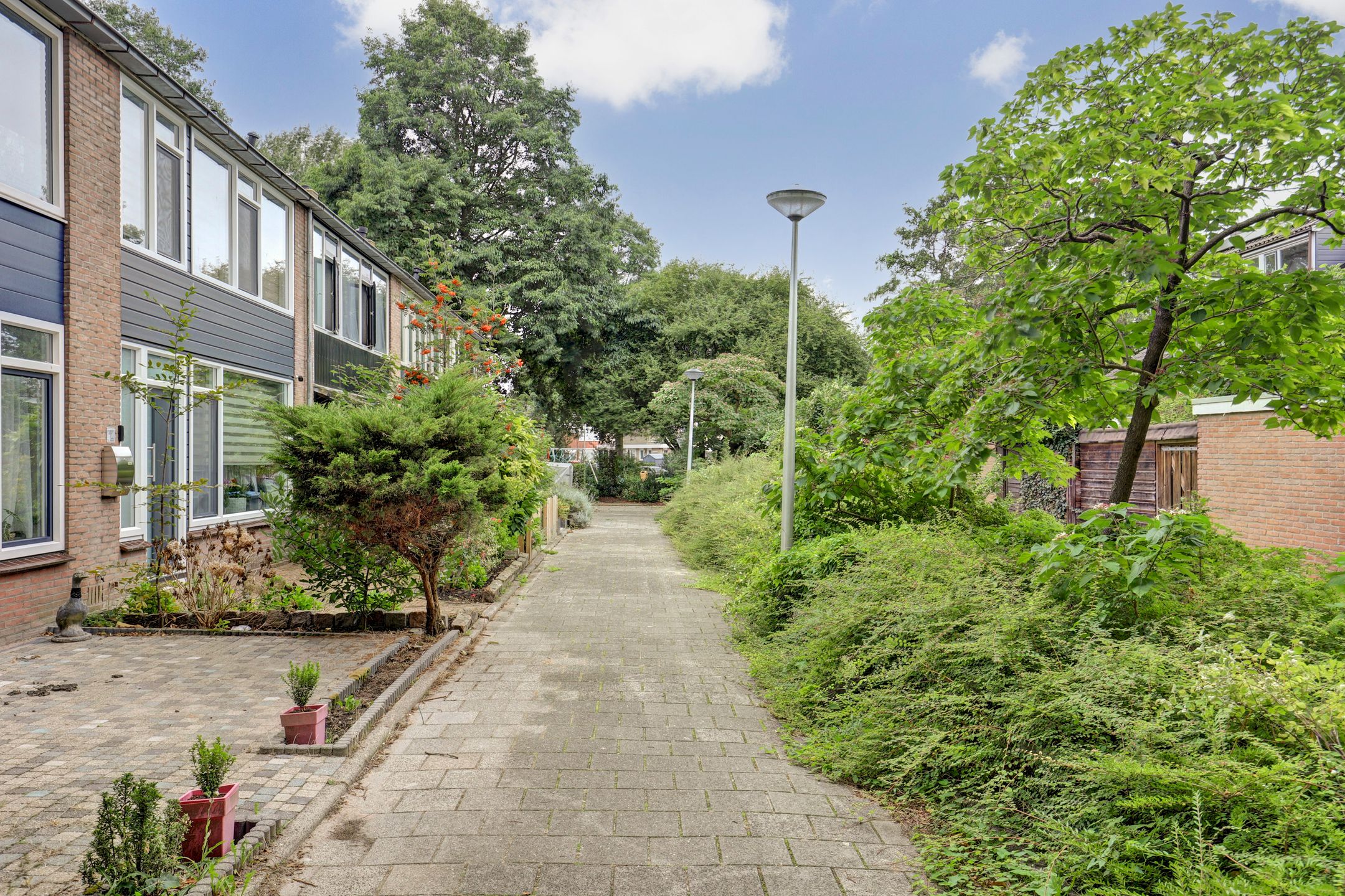 Photo 9 of Groen van Prinstererweg 7