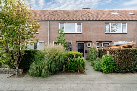 Potgieterstraat thumbnail