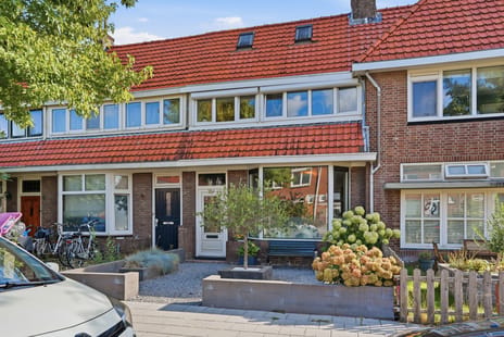 van Leeuwenhoekstraat thumbnail