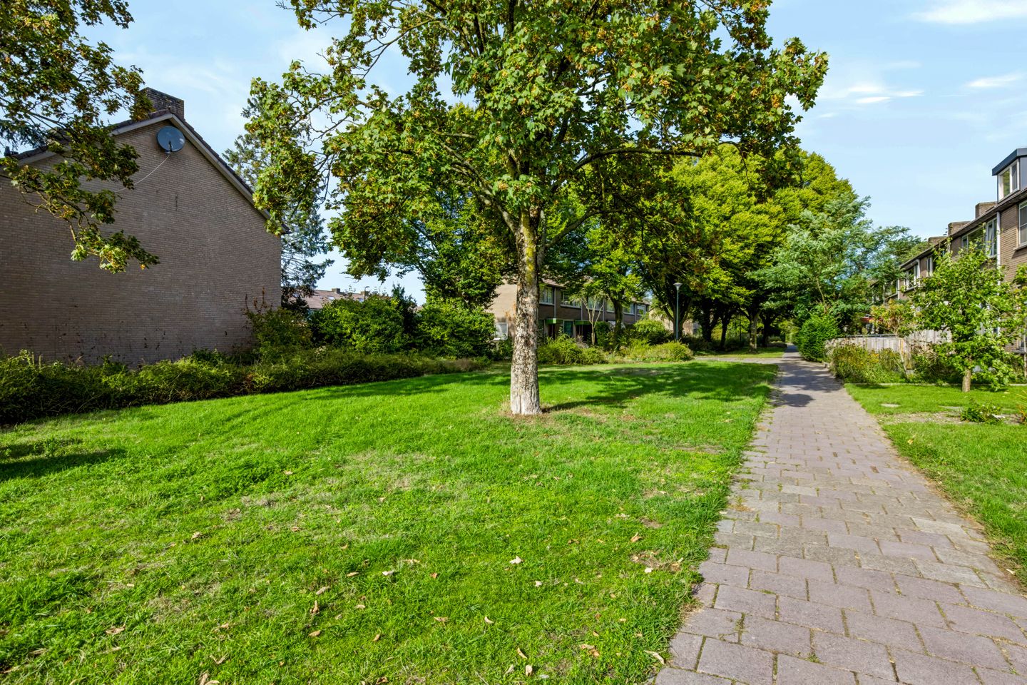 Photo 5 of Kruizemuntstraat 177