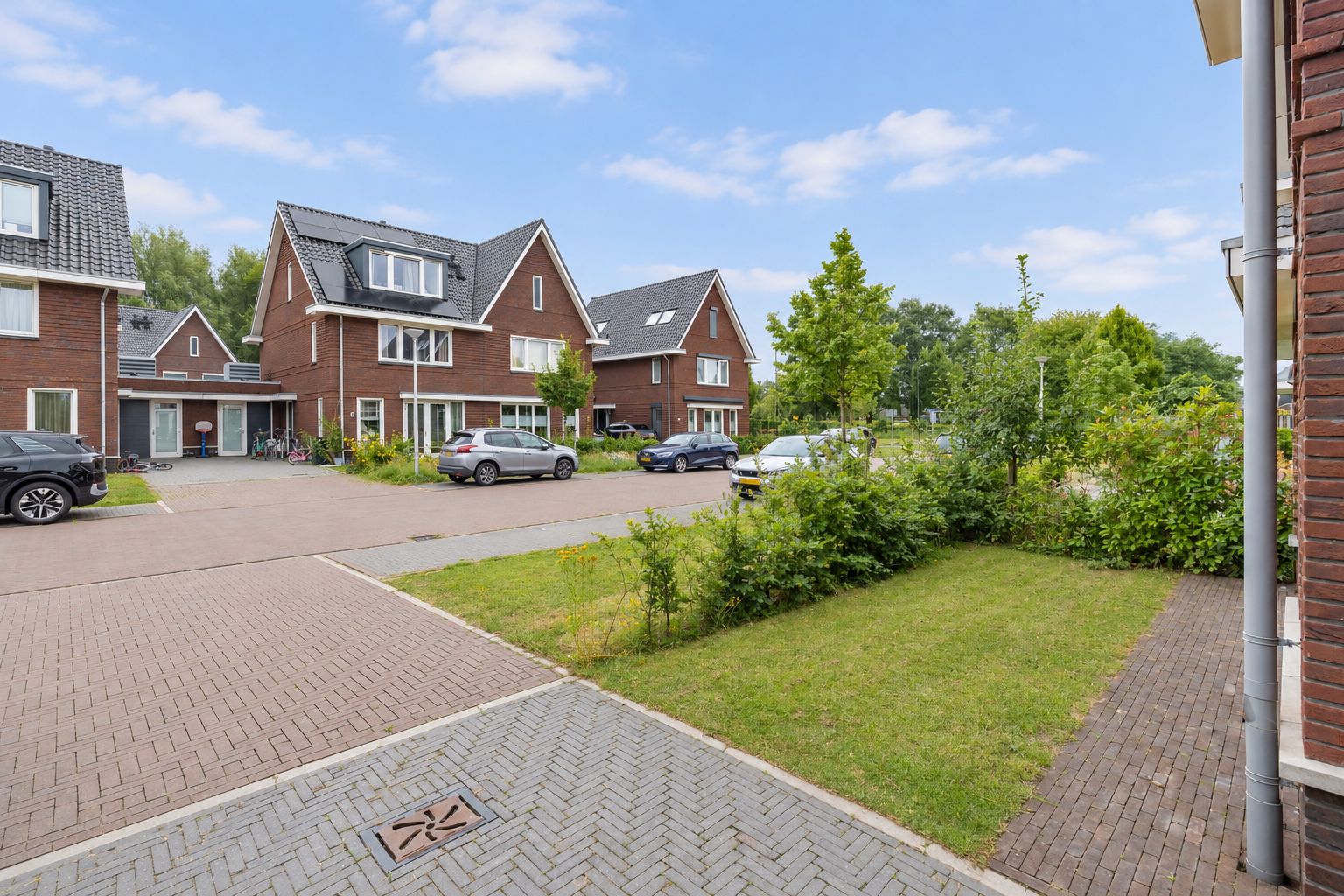 Foto 45 van Krommerijnder 5