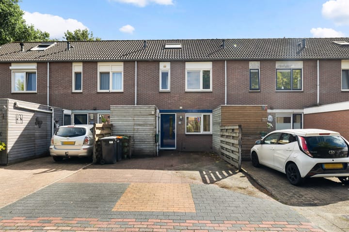 Foto 2 van Zwaluwenveld 99