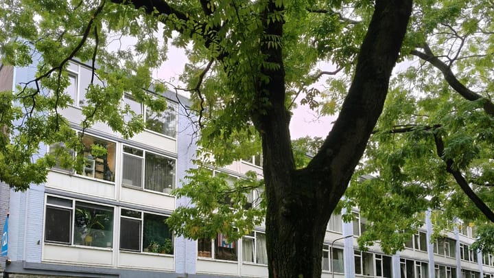 Foto 5 van Trouwlaan 297
