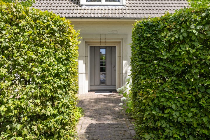Foto 3 van Koningsvaren 26
